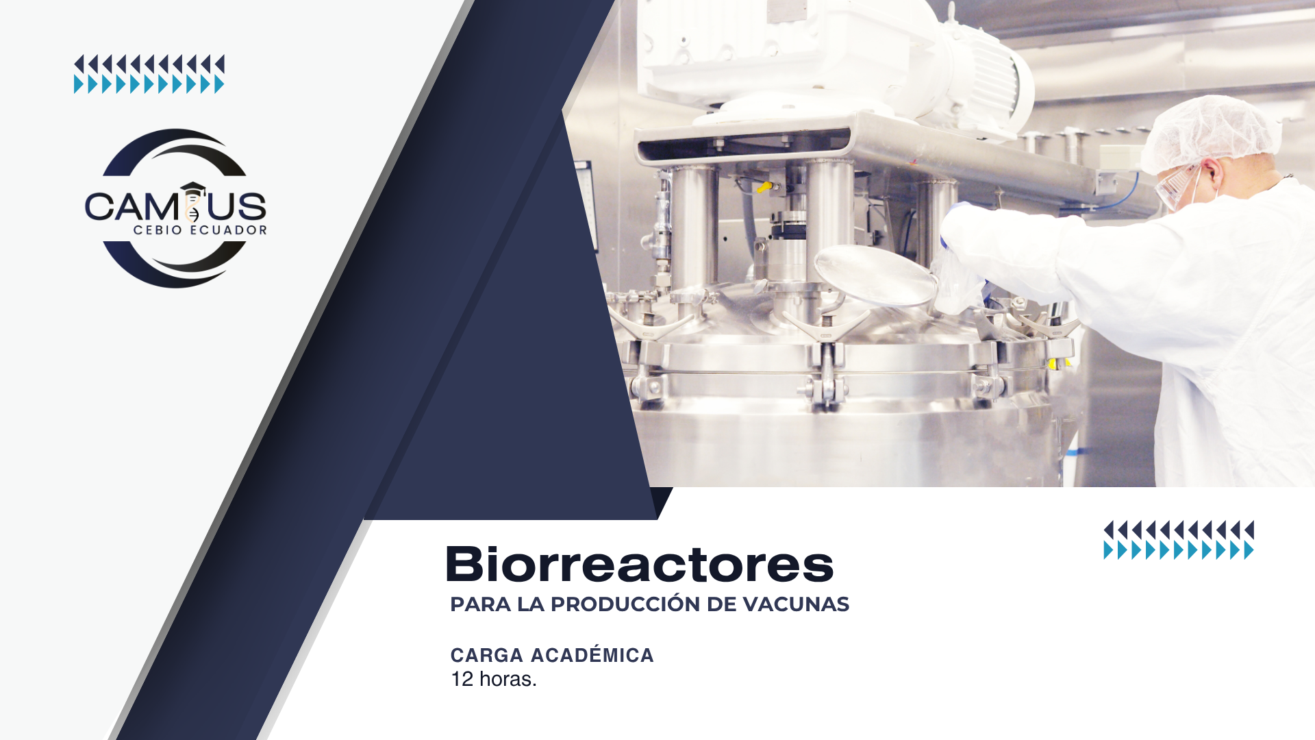 Biorreactores para la producción de vacunas