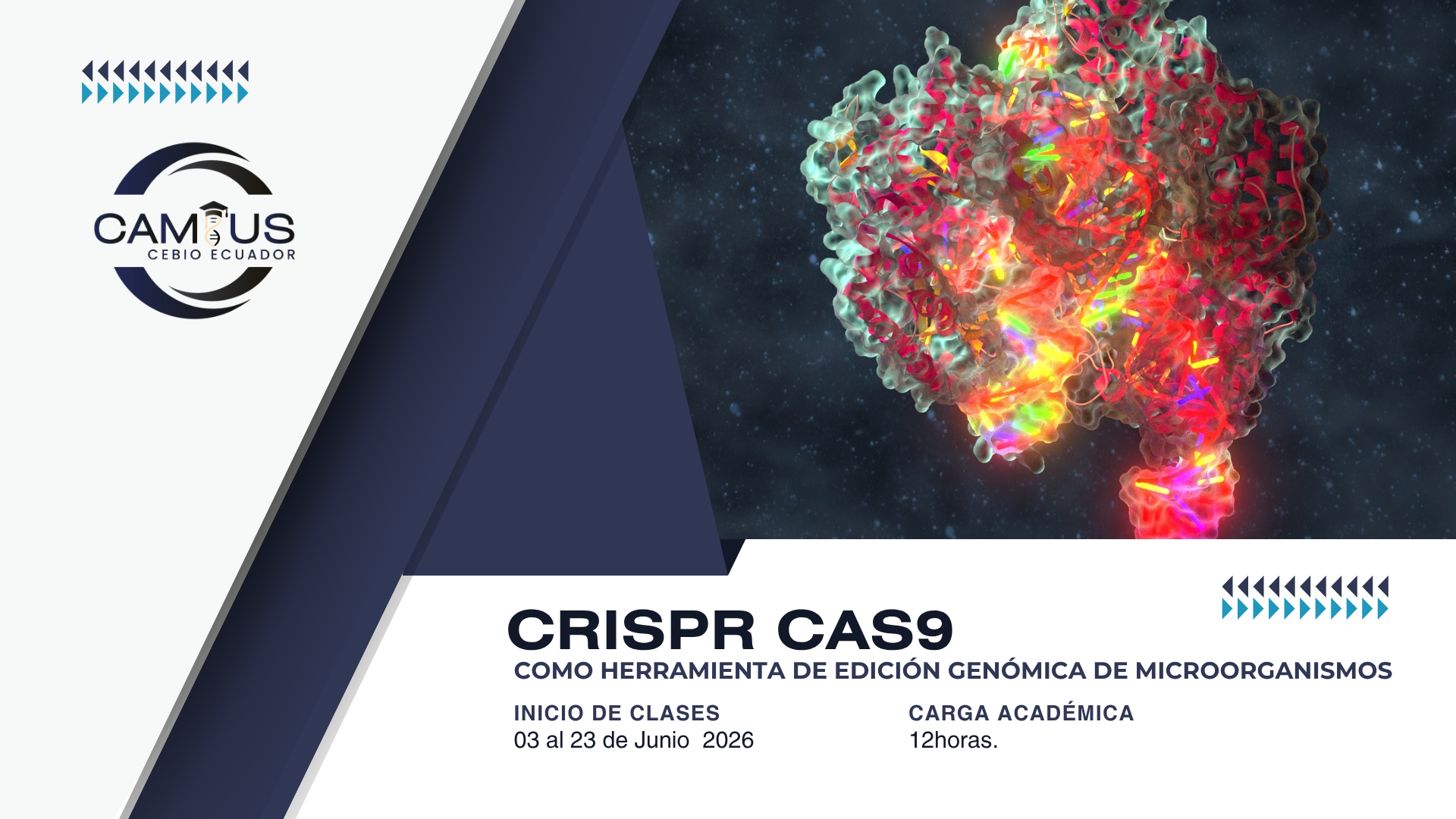 CRISPR Cas9 como herramienta de edición genómica de microorganismos 2026