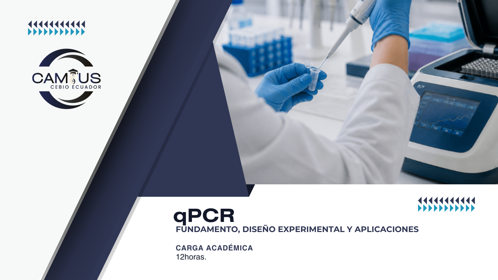 qPRC: Fundamento, diseño experimental y aplicaciones