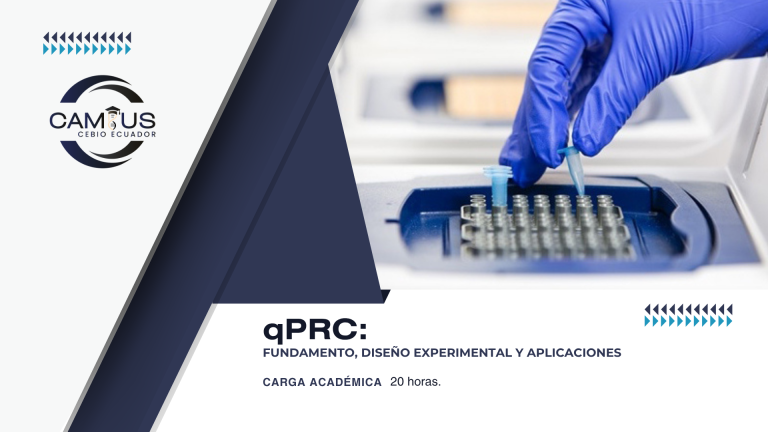 qPRC: Fundamento, diseño experimental y aplicaciones